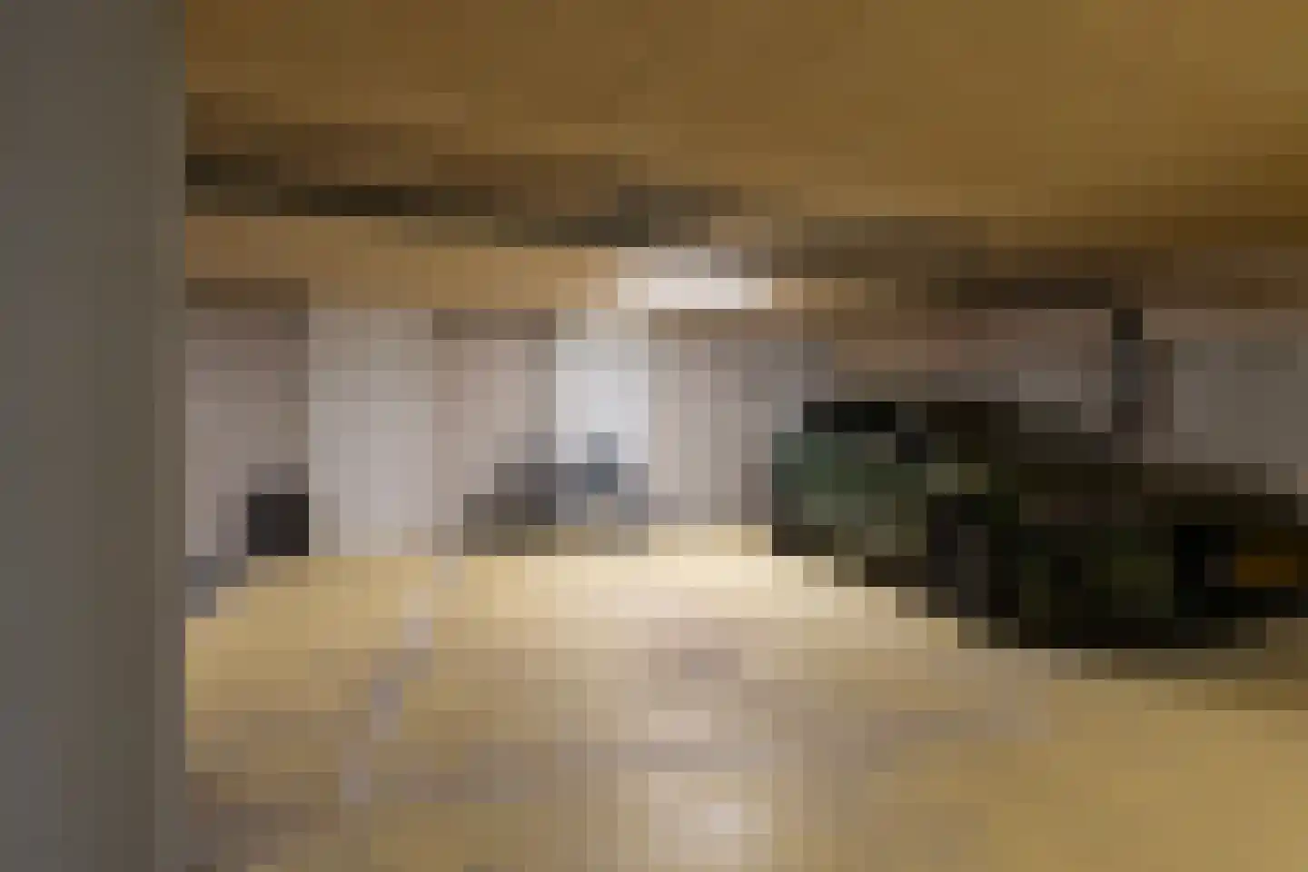Kooimeerlaan 103 Alkmaar thumbnail 28