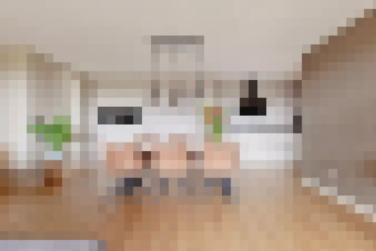 Kooimeerlaan 103 Alkmaar thumbnail 7