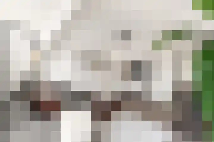 Kooimeerlaan 2 B Alkmaar thumbnail 12