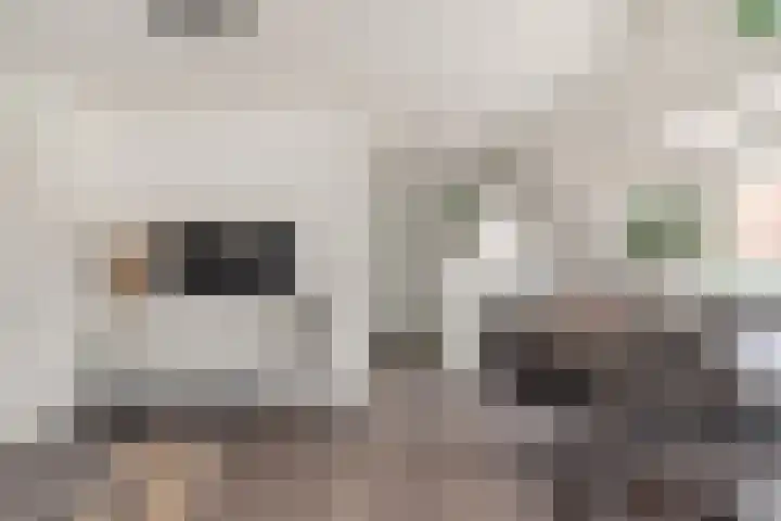 Kooimeerlaan 2 B Alkmaar thumbnail 15