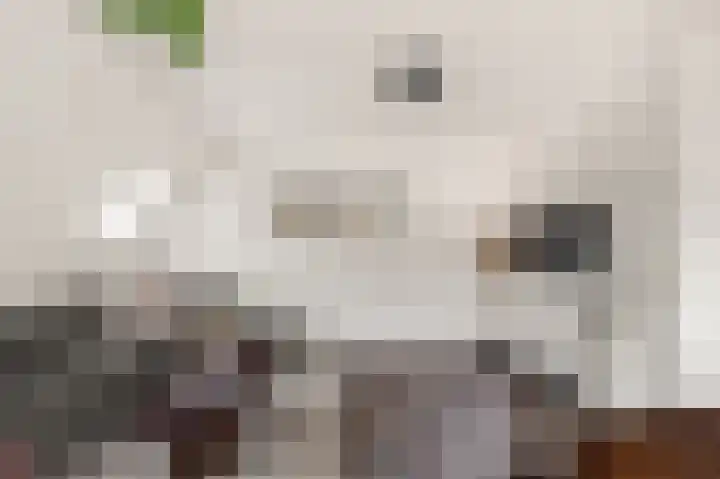 Kooimeerlaan 2 B Alkmaar thumbnail 18