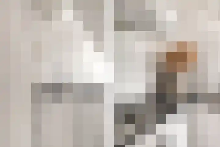 Kooimeerlaan 2 B Alkmaar thumbnail 20