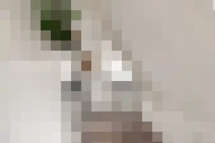 Kooimeerlaan 2 B Alkmaar thumbnail 21