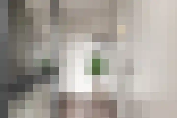 Kooimeerlaan 2 B Alkmaar thumbnail 22