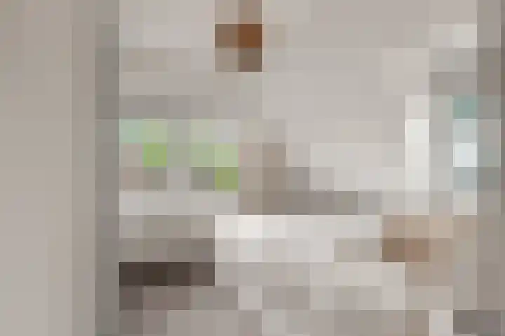 Kooimeerlaan 2 B Alkmaar thumbnail 24