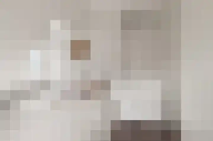Kooimeerlaan 2 B Alkmaar thumbnail 25
