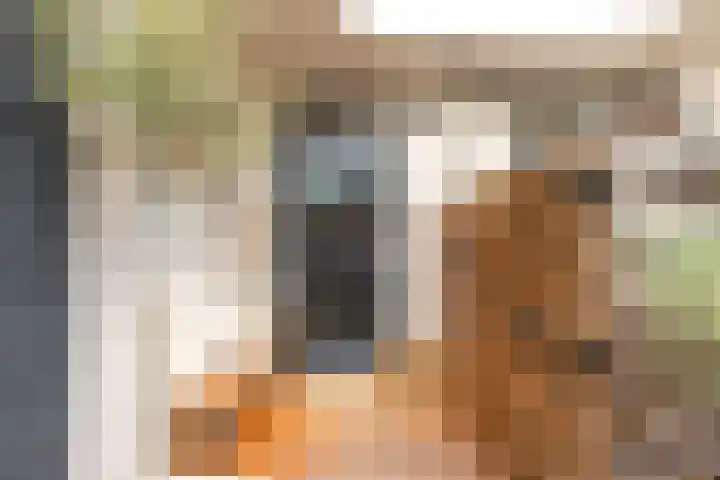 Kooimeerlaan 2 B Alkmaar thumbnail 30