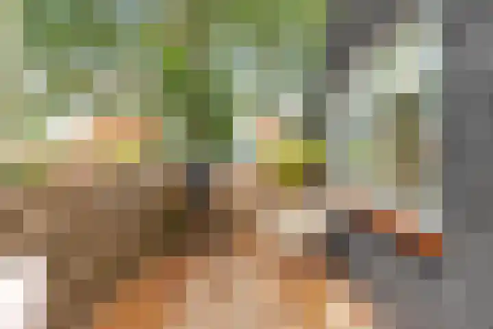 Kooimeerlaan 2 B Alkmaar thumbnail 31