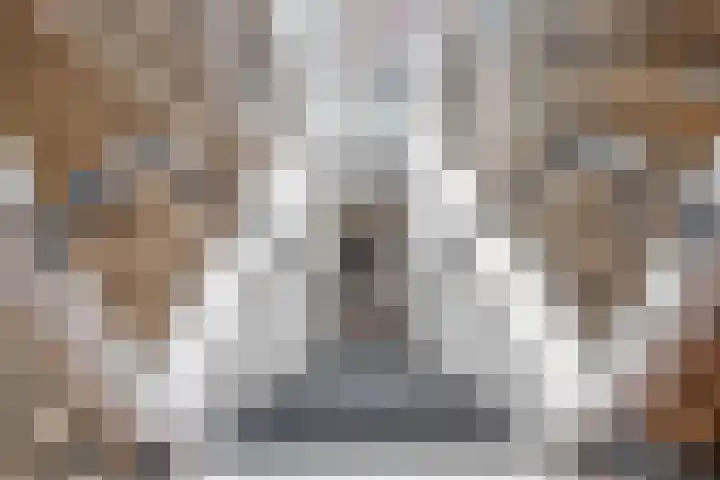Kooimeerlaan 2 B Alkmaar thumbnail 33
