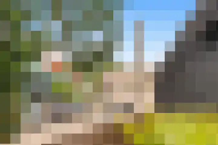 Kooimeerlaan 2 B Alkmaar thumbnail 34