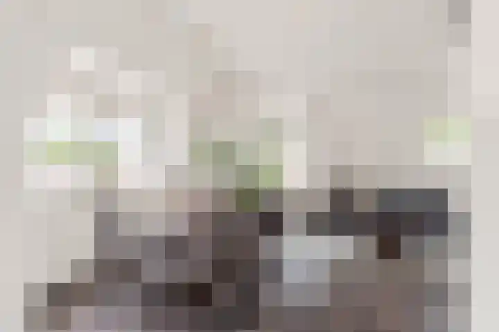 Kooimeerlaan 2 B Alkmaar thumbnail 7