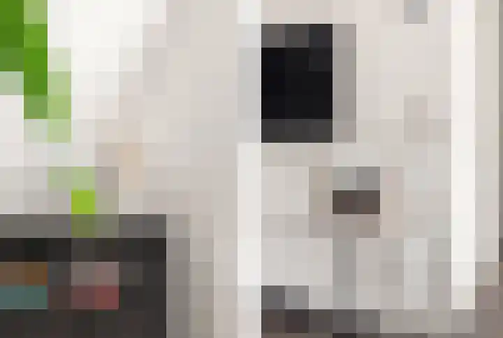 Kooimeerlaan 2 B Alkmaar thumbnail 9