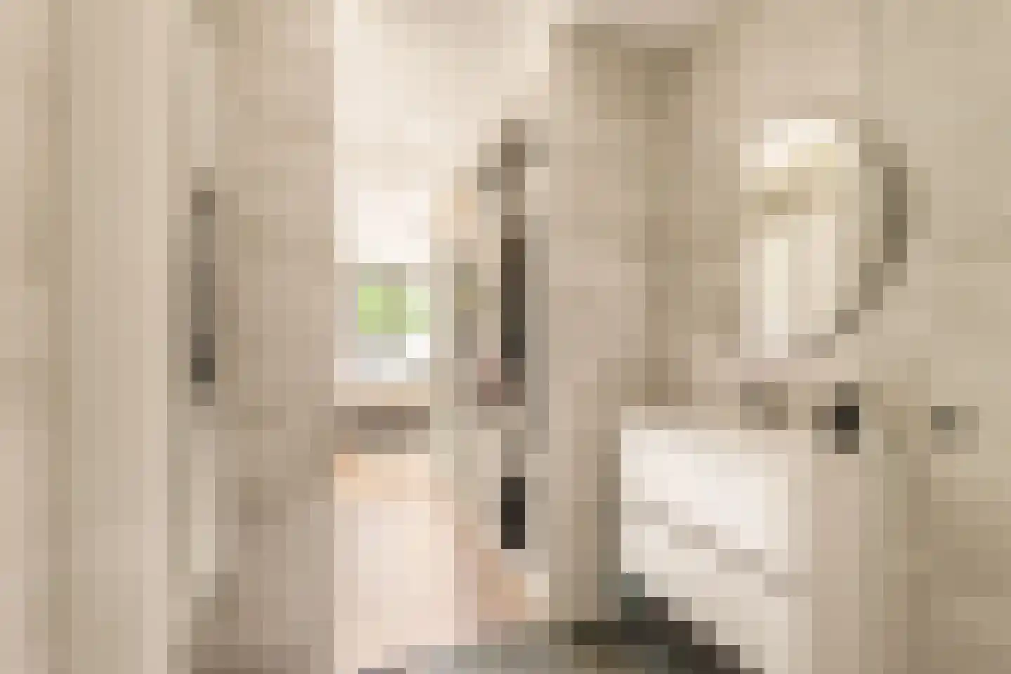 Kooimeerlaan 23 Alkmaar thumbnail 20