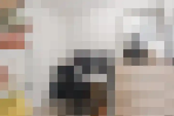 Kooimeerlaan 29 Alkmaar thumbnail 20