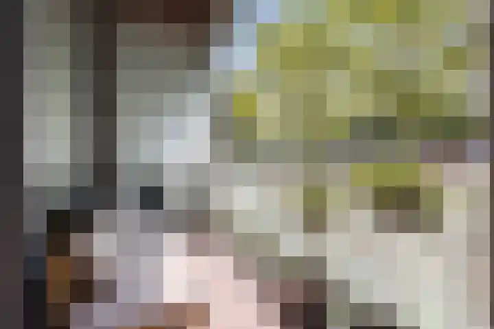 Kooimeerlaan 29 Alkmaar thumbnail 24