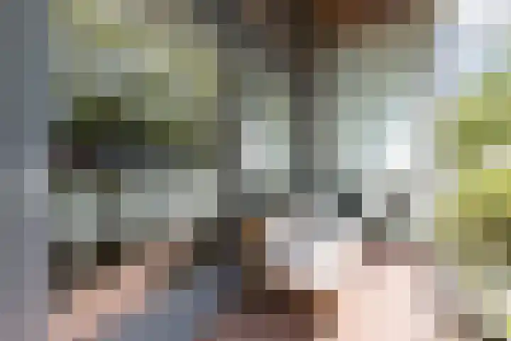 Kooimeerlaan 29 Alkmaar thumbnail 25