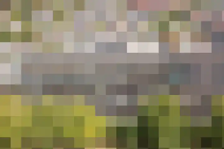 Kooimeerlaan 29 Alkmaar thumbnail 32