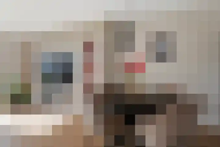 Kooimeerlaan 45 Alkmaar thumbnail 12