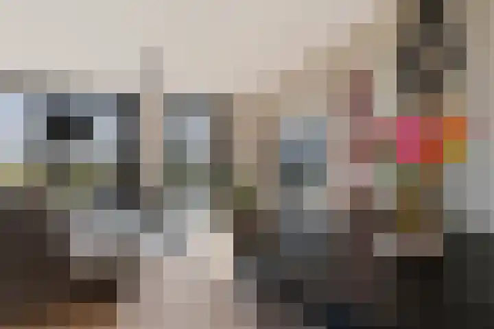 Kooimeerlaan 45 Alkmaar thumbnail 13