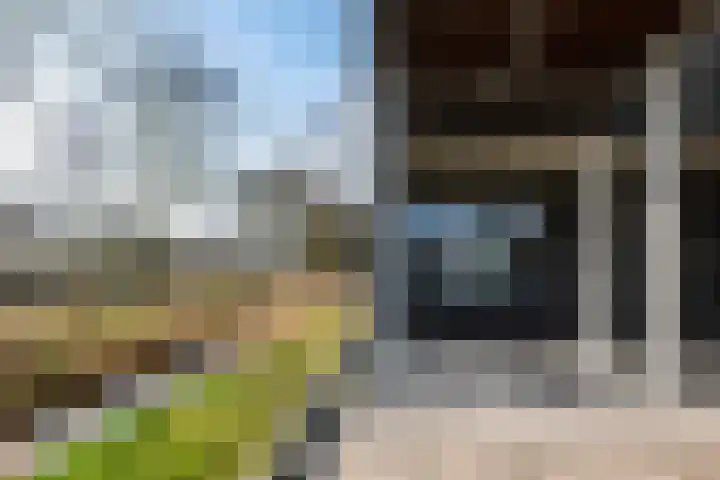 Kooimeerlaan 45 Alkmaar thumbnail 32