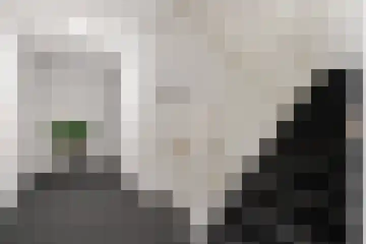 Kooimeerlaan 45 Alkmaar thumbnail 7