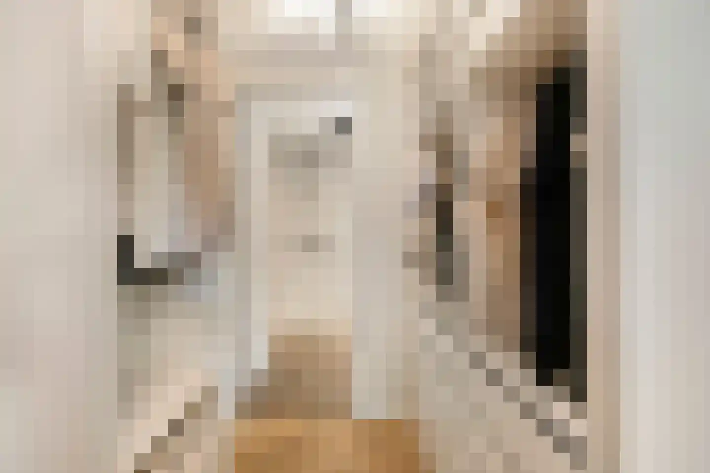 Kooimeerlaan 53 Alkmaar thumbnail 32