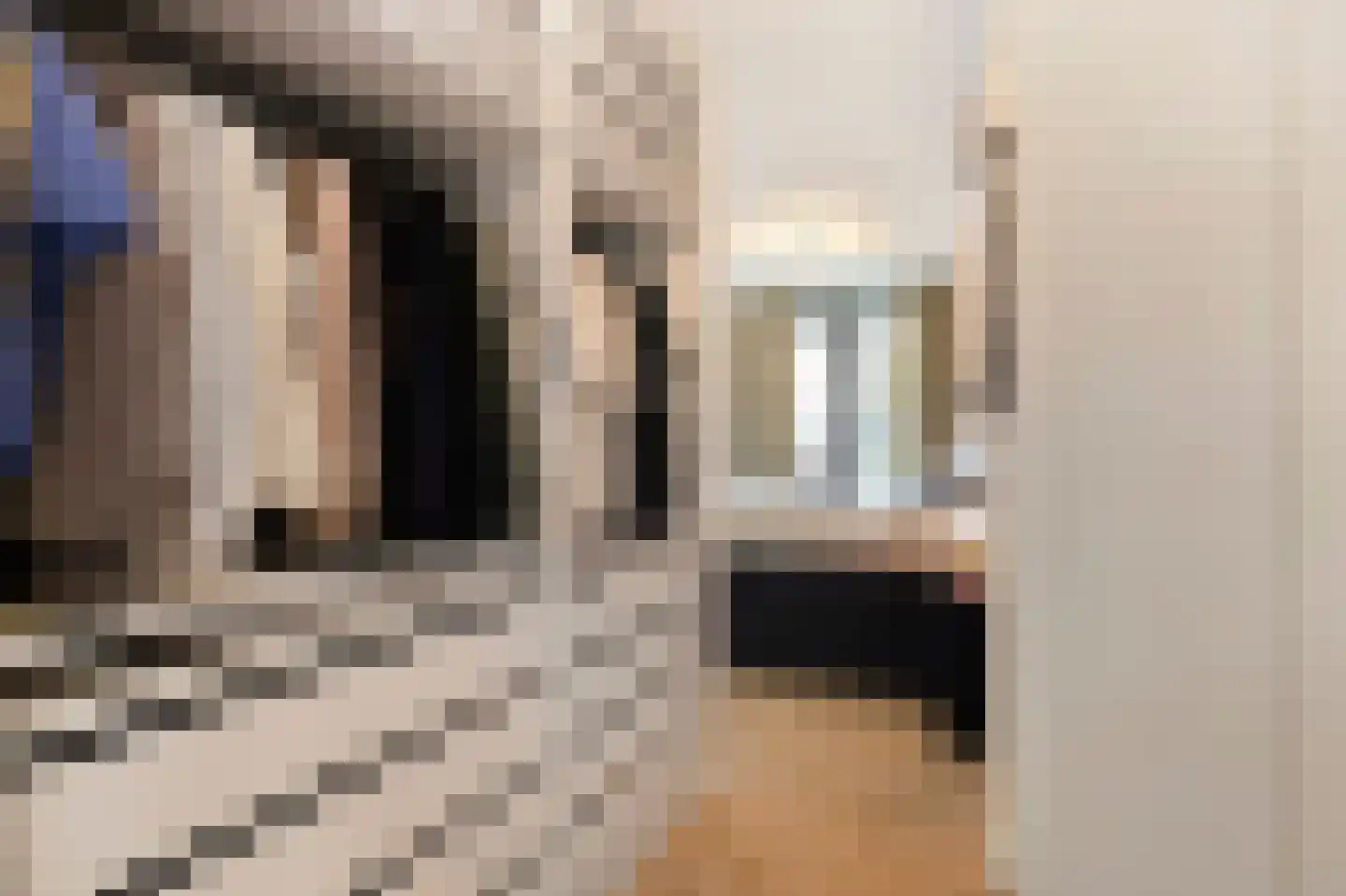 Kooimeerlaan 53 Alkmaar thumbnail 33