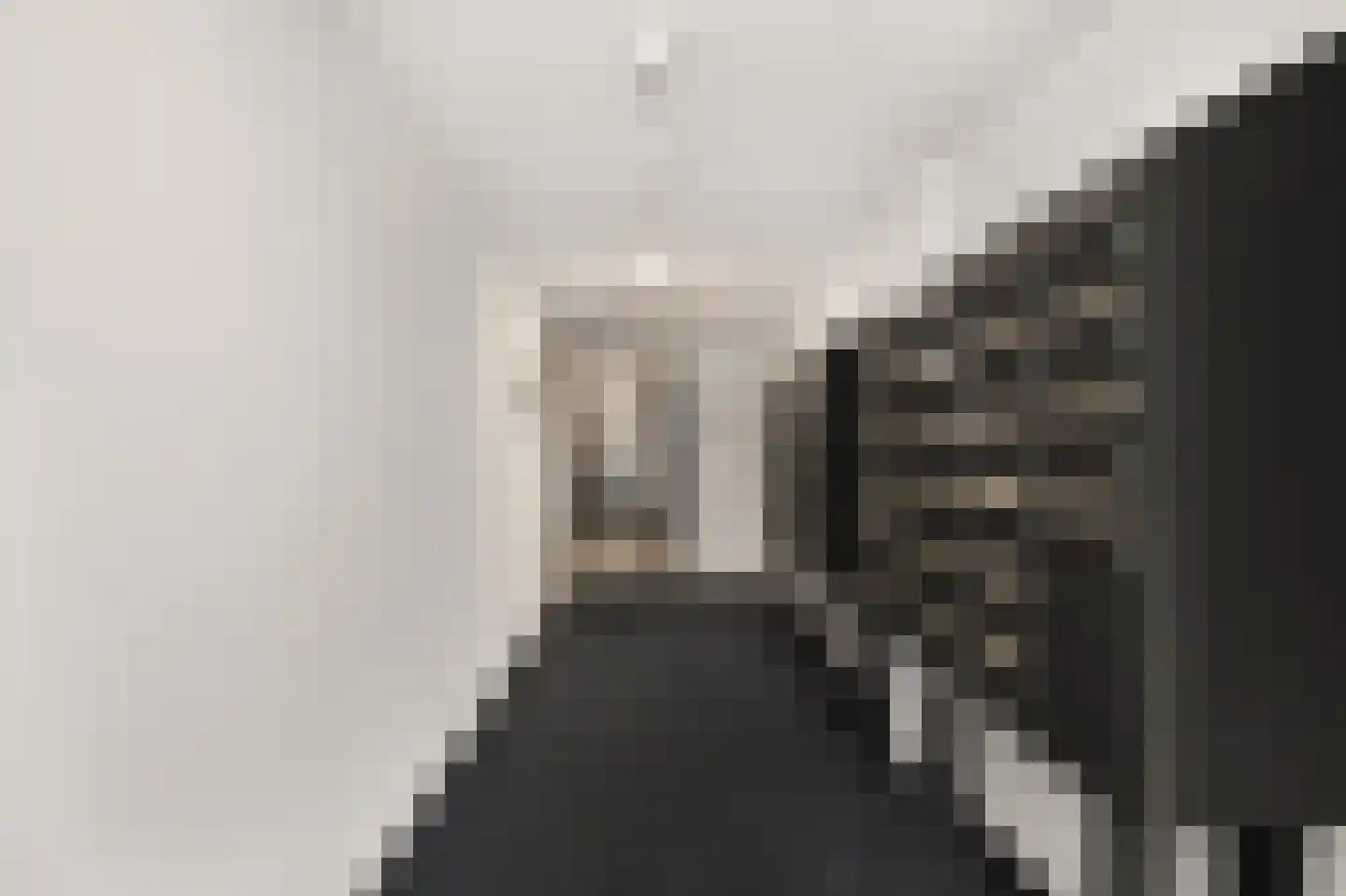 Kooimeerlaan 53 Alkmaar thumbnail 8