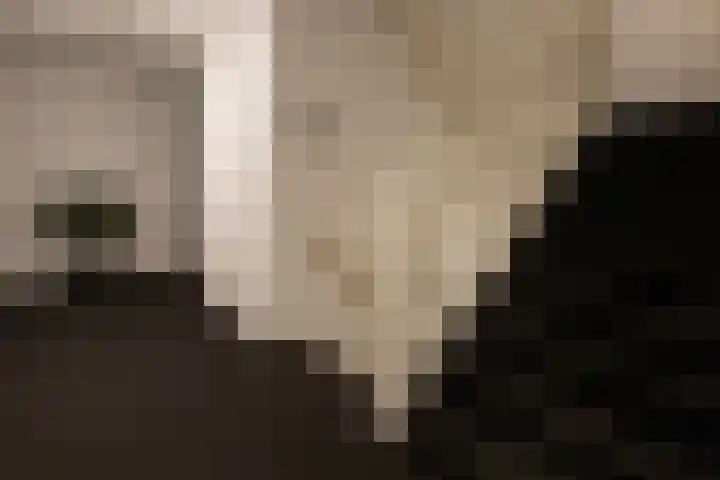 Kooimeerlaan 61 Alkmaar thumbnail 36