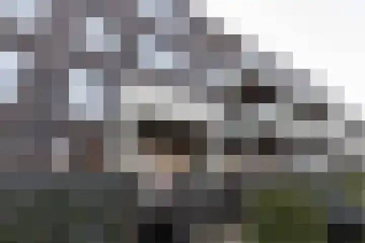 Kooimeerlaan 61 Alkmaar thumbnail 41