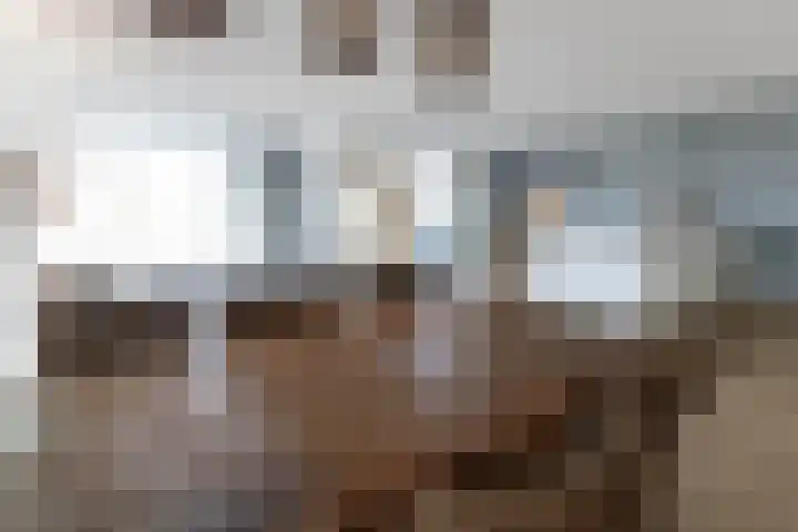Kooimeerlaan 61 Alkmaar thumbnail 5