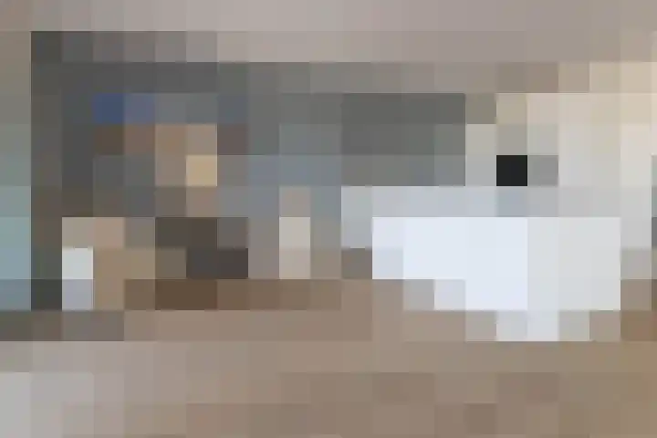 Kooimeerlaan 61 Alkmaar thumbnail 6