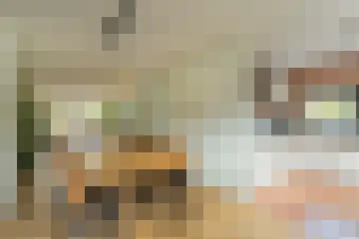 Kooimeerstraat 1 Hoofddorp thumbnail 33