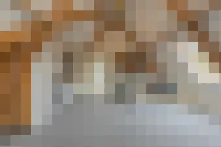 Kooimeerstraat 1 Hoofddorp thumbnail 54