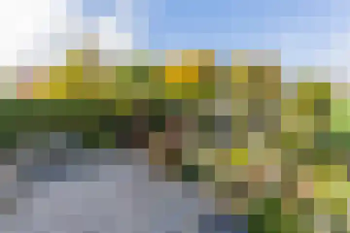 Kooimeerstraat 1 Hoofddorp thumbnail 61