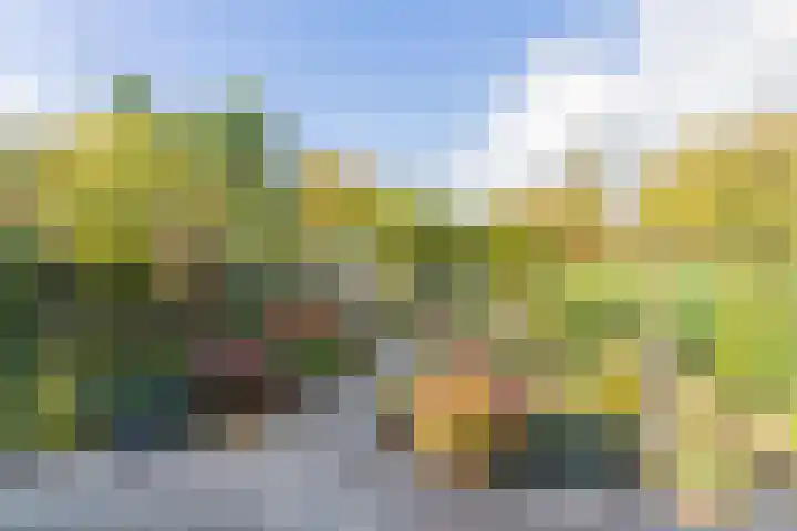 Kooimeerstraat 1 Hoofddorp thumbnail 62