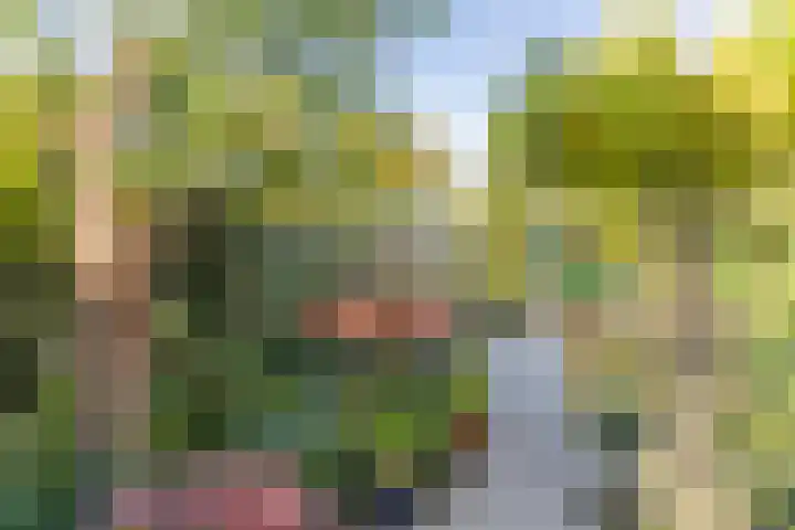 Kooimeerstraat 1 Hoofddorp thumbnail 65