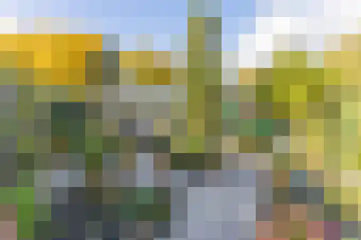 Kooimeerstraat 1 Hoofddorp thumbnail 66