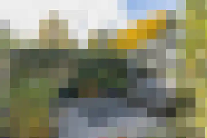 Kooimeerstraat 1 Hoofddorp thumbnail 70