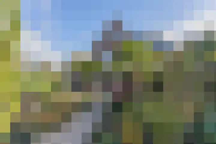 Kooimeerstraat 1 Hoofddorp thumbnail 71