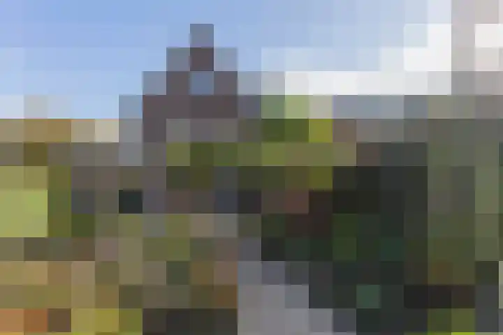 Kooimeerstraat 1 Hoofddorp thumbnail 75