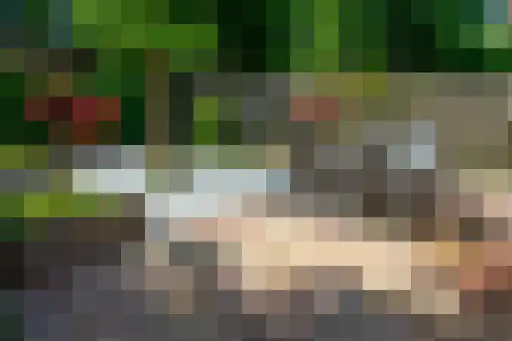 Kooimeerstraat 2 Hoofddorp thumbnail 19