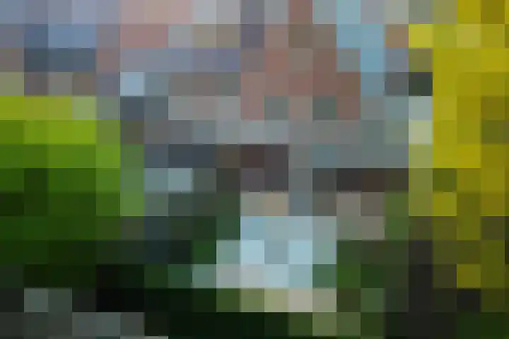 Kooimeerstraat 2 Hoofddorp thumbnail 22