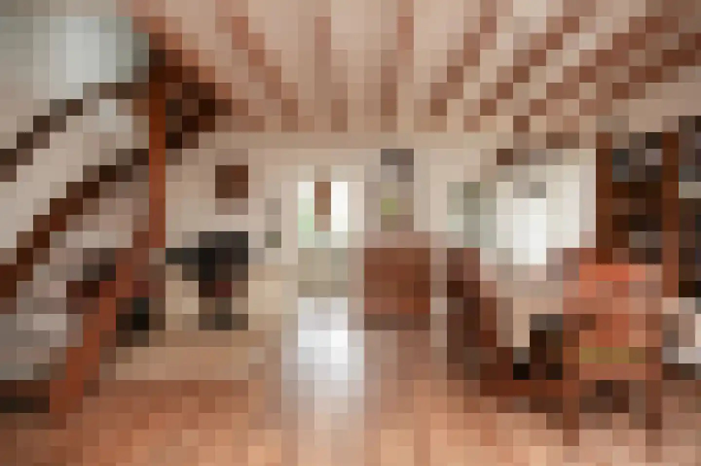 Kooimolenweg 21 Dreumel thumbnail 12
