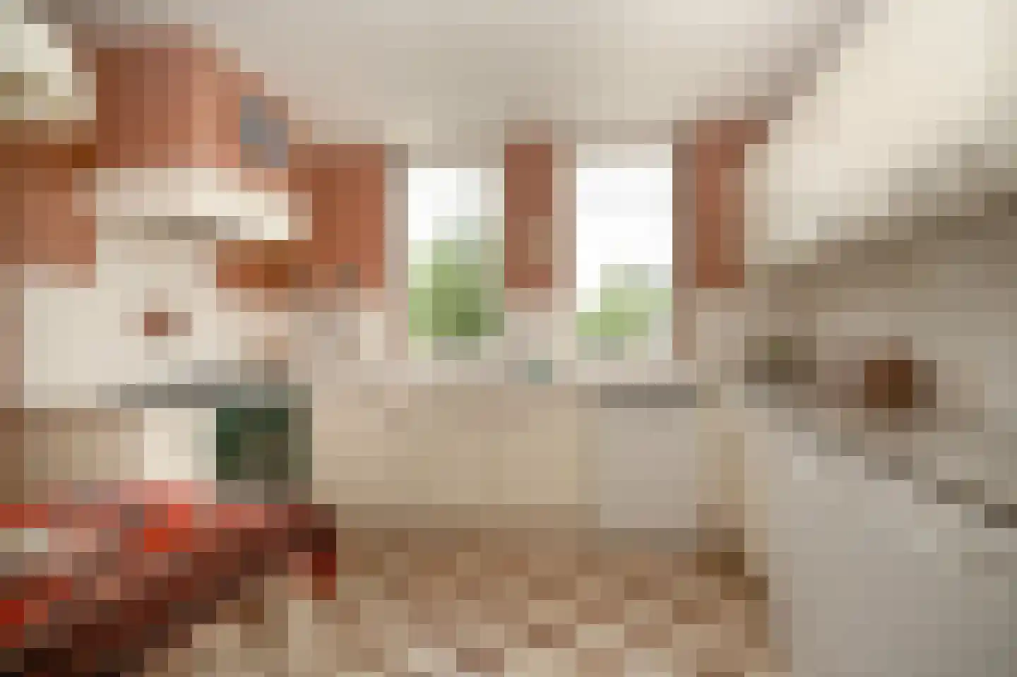 Kooimolenweg 21 Dreumel thumbnail 13