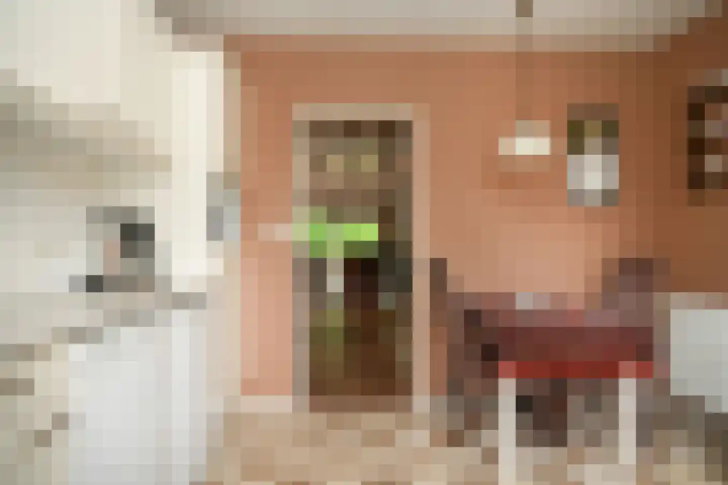 Kooimolenweg 21 Dreumel thumbnail 16