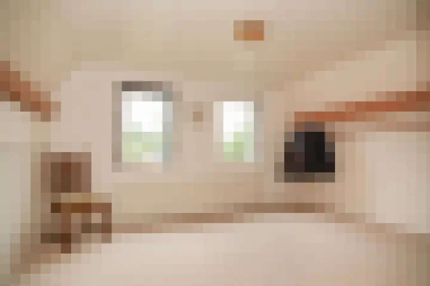 Kooimolenweg 21 Dreumel thumbnail 26