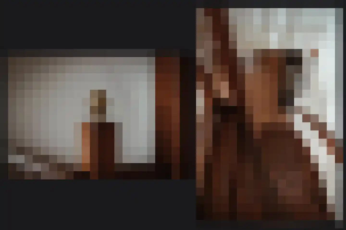 Kooimolenweg 21 Dreumel thumbnail 30