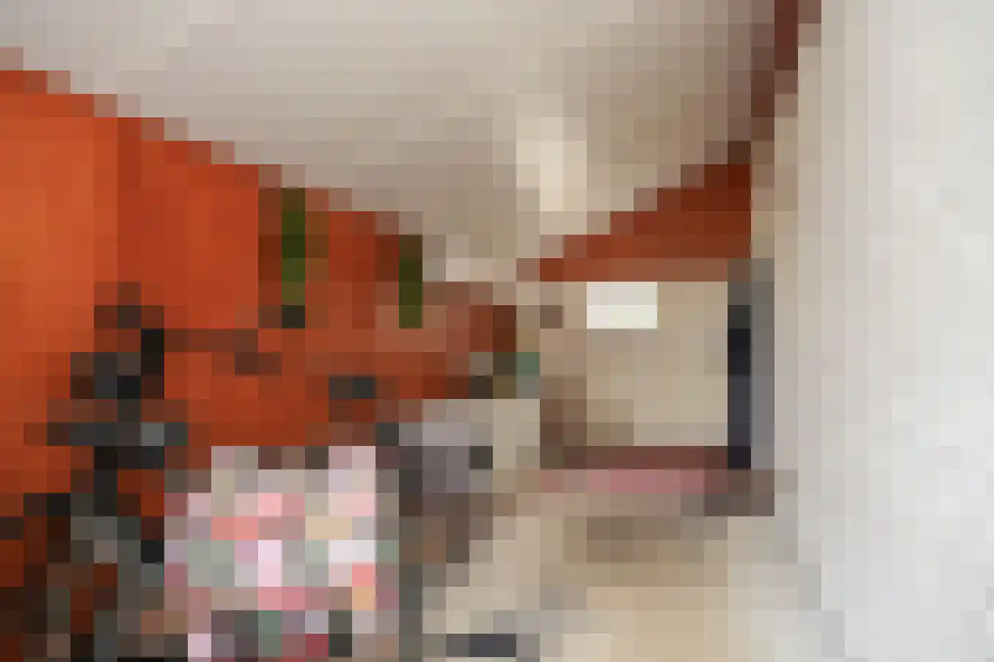 Kooimolenweg 21 Dreumel thumbnail 31