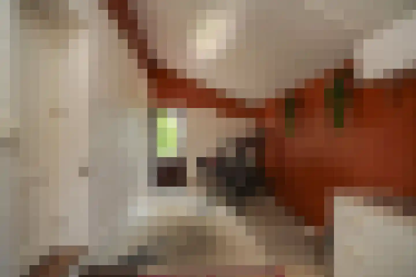 Kooimolenweg 21 Dreumel thumbnail 32